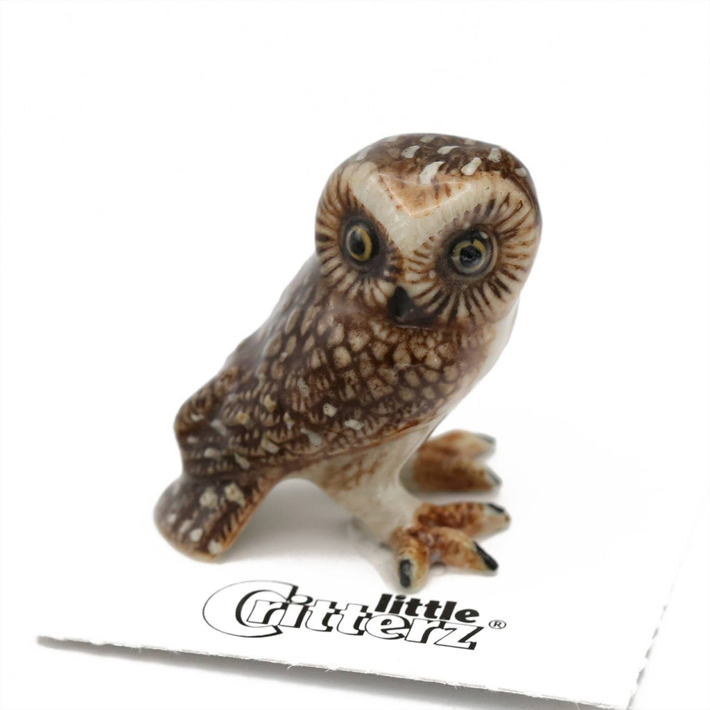 Little Critterz Sawyer Saw-whet Owl Porcelain Miniature Giftware Little Critterz [SK]