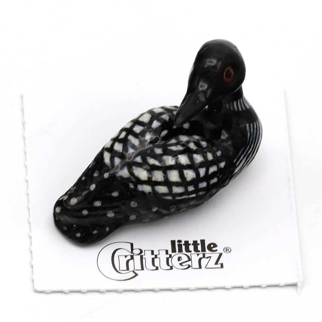 Little Critterz Gavia Loon Porcelain Miniature Giftware Little Critterz [SK]