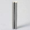 Magnets 1/8" x 1/16" (50CT) Paints & Supplies Primal Horizon [SK]