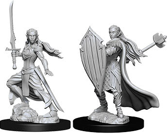 D&D Nolzur's Marvelous - W09 Female Elf Paladin WizKids Minis WizKids [SK]