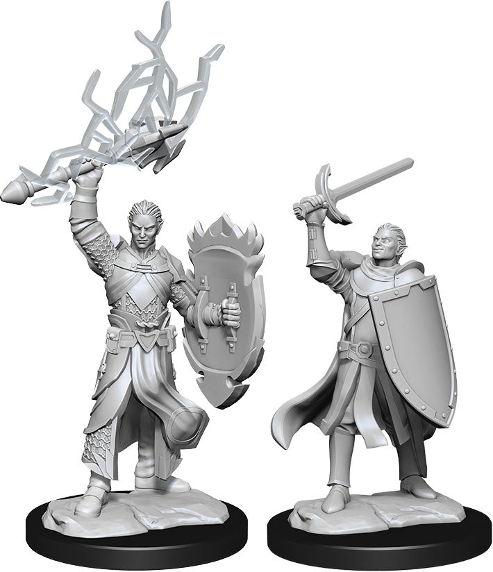 D&D Nolzur's Marvelous Unpainted Miniatures - W14 Half-Elf Paladin Male WizKids Minis WizKids [SK]   