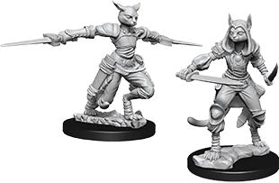 D&D Nolzur's Marvelous - W09 Female Tabaxi Rogue WizKids Minis WizKids [SK]