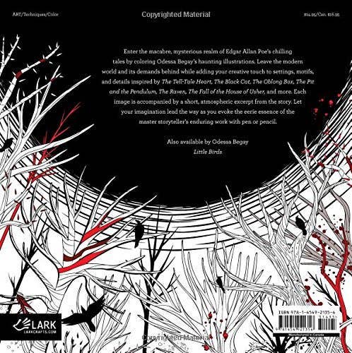 Edgar Allan Poe: An Adult Coloring Book Activities Hachette Book Group [SK]