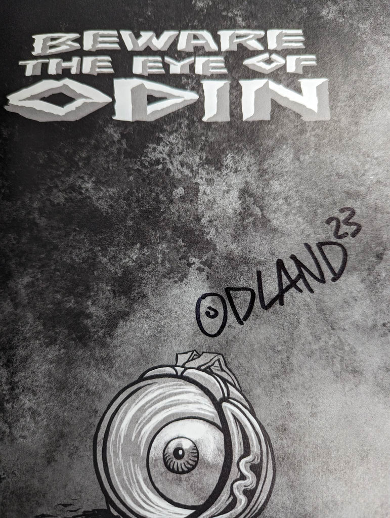 Beware the Eye of Odin Trade paperback (likely with artist signature) Graphic Novels Image [SK]   
