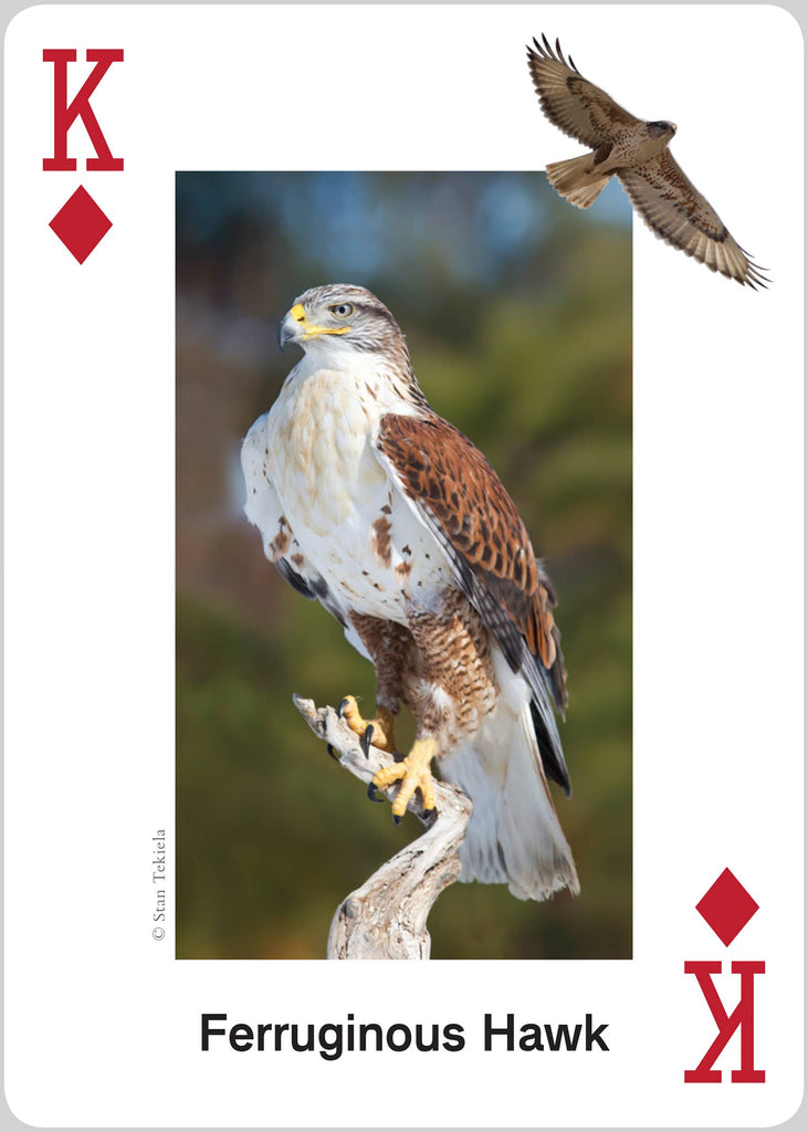 Raptors Playing Cards Traditional Games AdventureKEEN [SK]