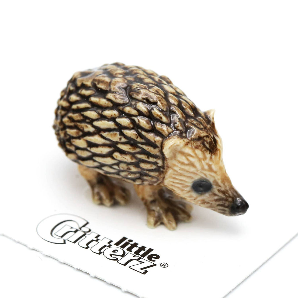 Little Critterz Tiggy Hedgehog Porcelain Miniature Giftware Little Critterz [SK]