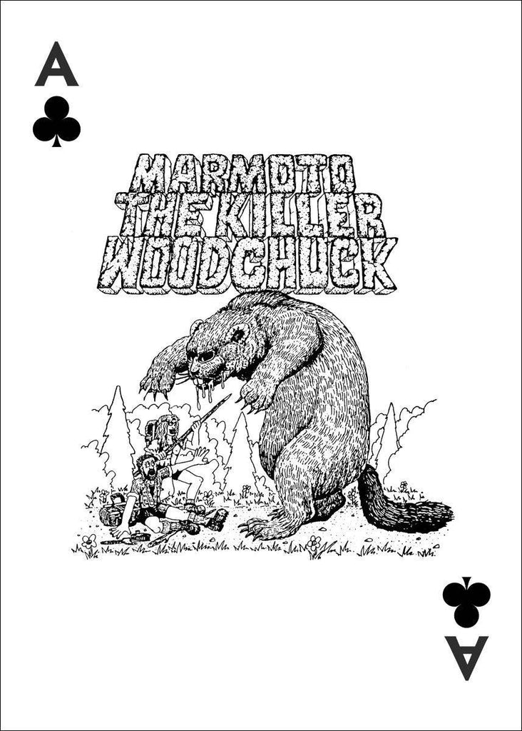 William Nealy Crash and Learn Playing Cards Traditional Games AdventureKEEN [SK]