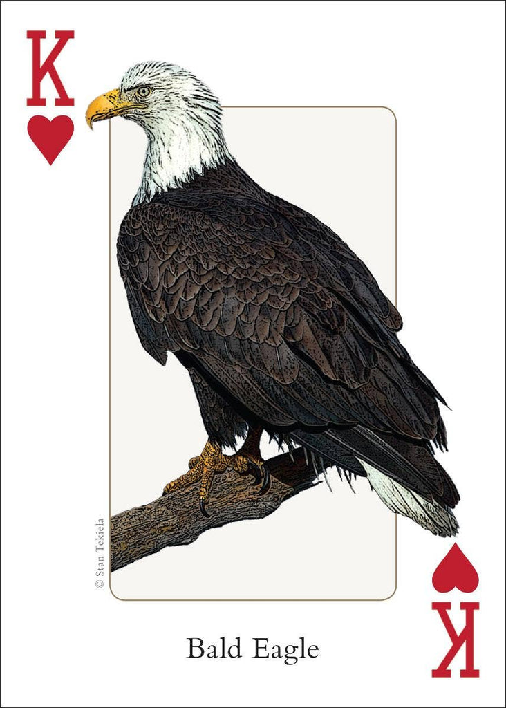 Birds of Midwest Playing Cards Traditional Games AdventureKEEN [SK]