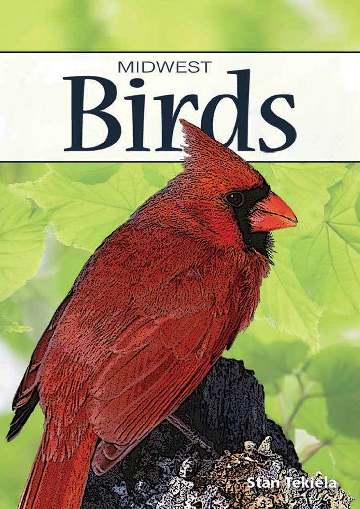 Birds of Midwest Playing Cards Traditional Games AdventureKEEN [SK]
