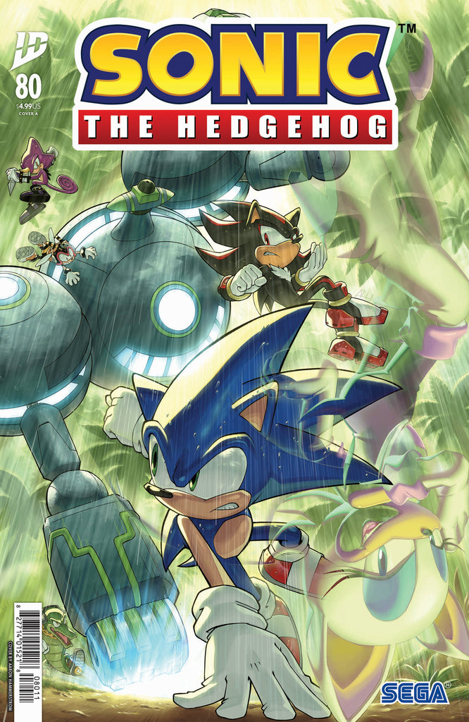 Sonic The Hedgehog #80 Cover A (Hammerstrom) Comics IDW Publishing [SK]