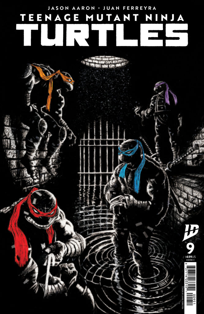 Teenage Mutant Ninja Turtles 2024 #9 Cover C Ferreyra Comics IDW Publishing [SK]