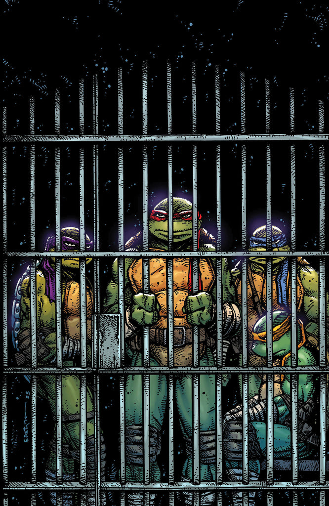 Teenage Mutant Ninja Turtles #11 Variant Ri (10) (Eastman Full Art) Comics IDW Publishing [SK]