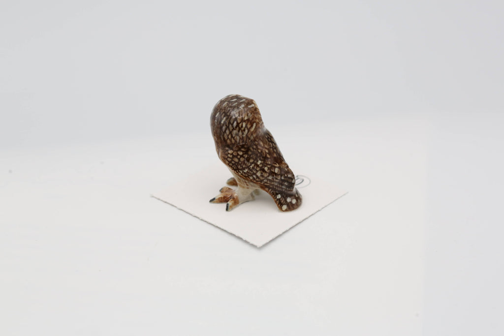 Little Critterz Sawyer Saw-whet Owl Porcelain Miniature Giftware Little Critterz [SK]