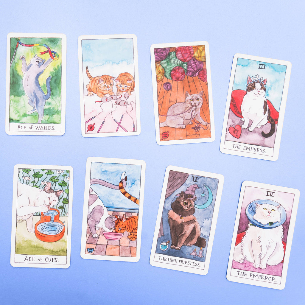 Cat Tarot Tarot Chronicle Books [SK]