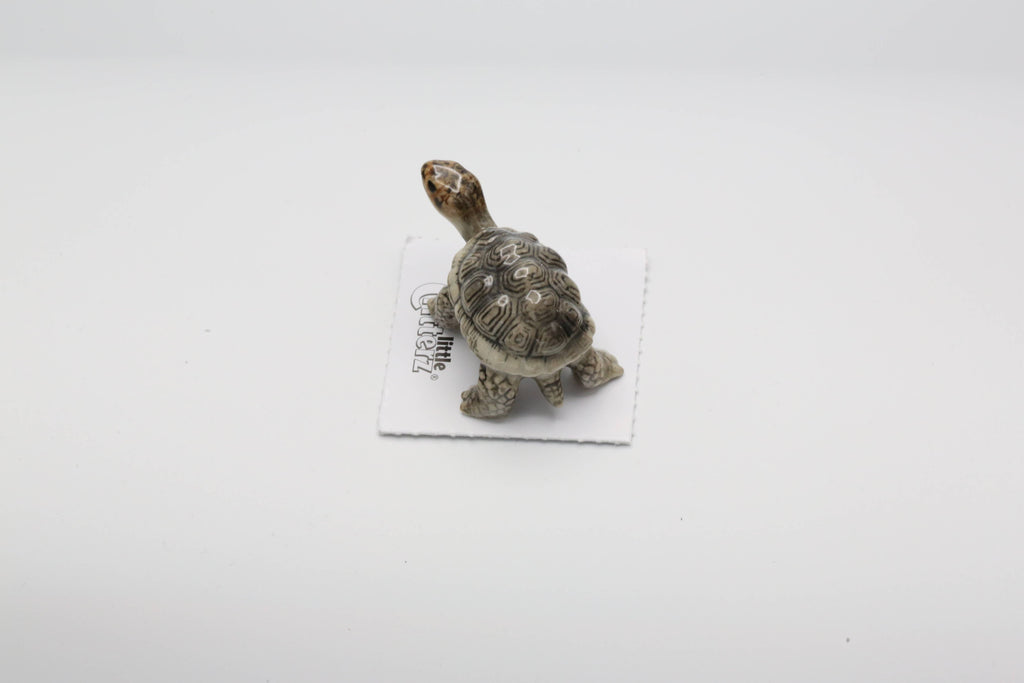 Little Critterz Darwin Galapagos Tortoise Porcelain Miniature Giftware Little Critterz [SK]