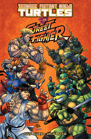 TMNT vs Street Fighter Graphic Novels IDW [SK]   
