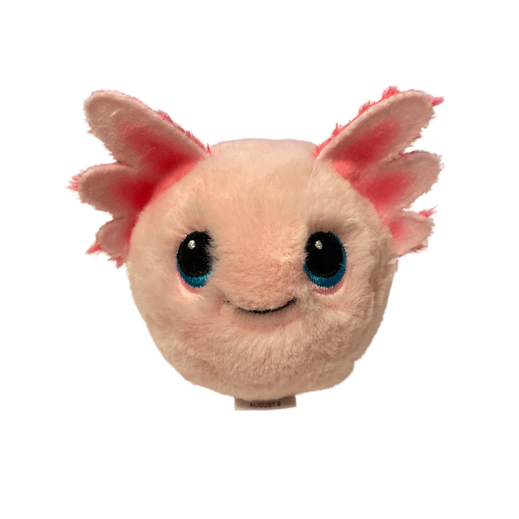 TY Beanie Bouncer Plush TY [SK] Gill Axolotl