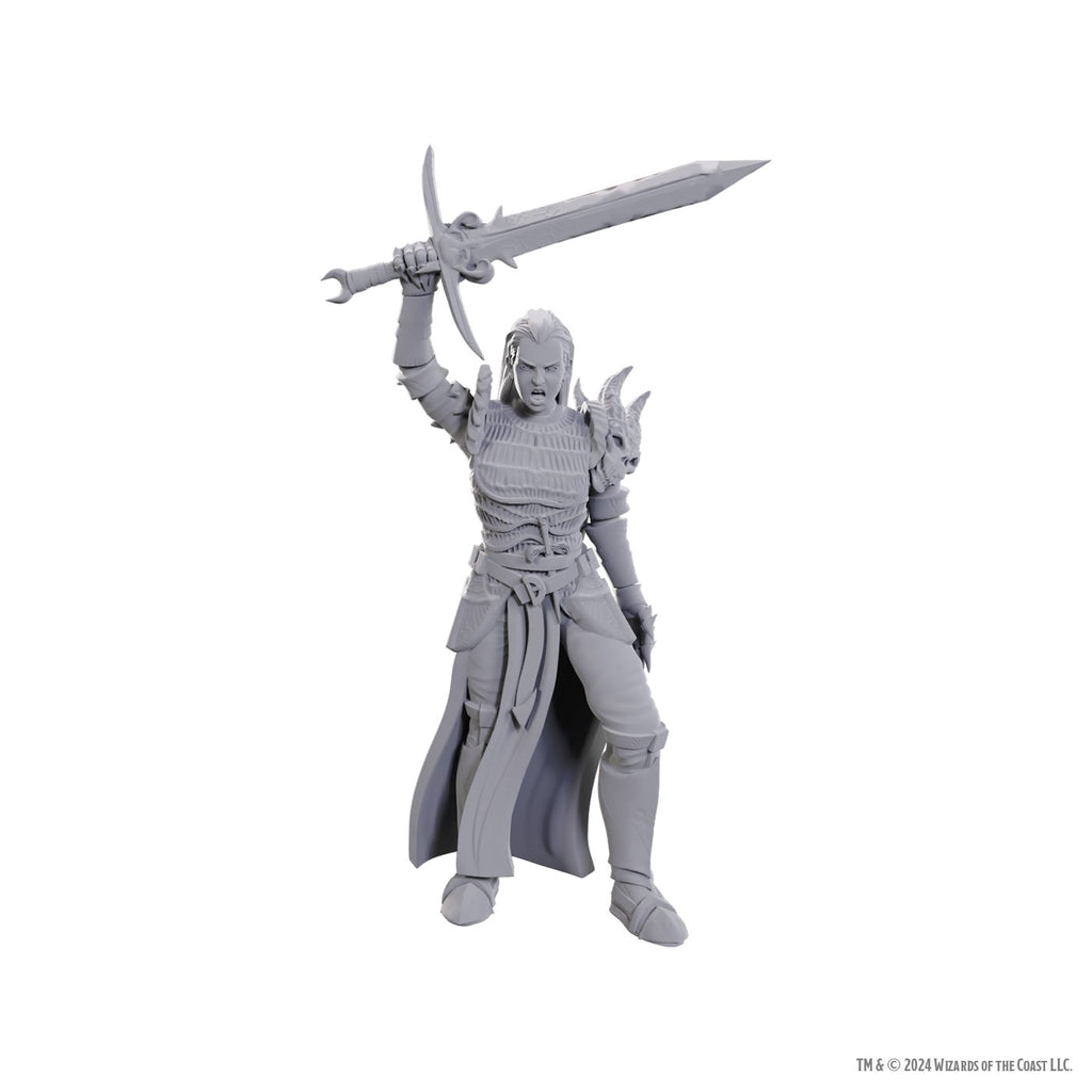 D&D Nolzur's Marvelous Miniatures W25 - Blackguard WizKids Minis WizKids [SK]