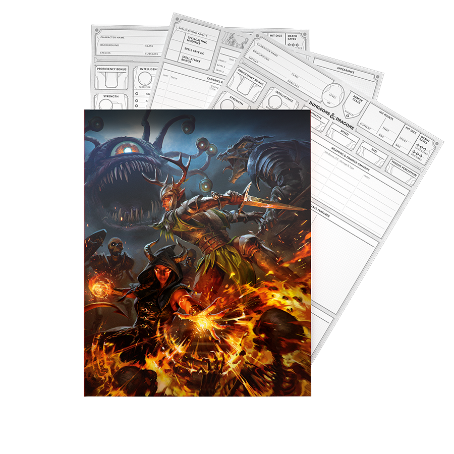 D&D 5th Edition (2024) Character Sheets D&D RPGs Wizards of the Coast [SK]   