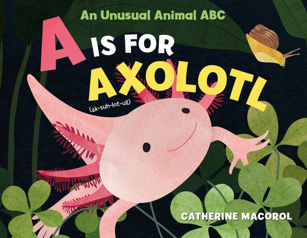 A Is for Axolotl: An Unusual Animal Books Macmillan Publishers [SK]
