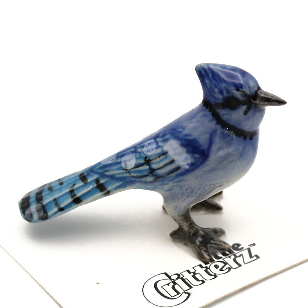 Little Critterz Mischief Bluejay Porcelain Miniature Giftware Little Critterz [SK]