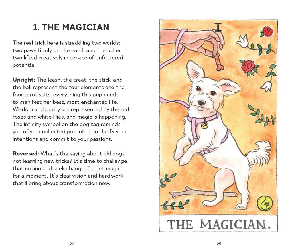 Dog Tarot Tarot Chronicle Books [SK]