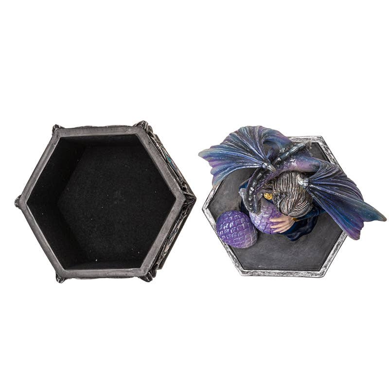 Anne Stokes Dragon Friendship Spring Box Giftware PACIFIC GIFTWARE [SK]