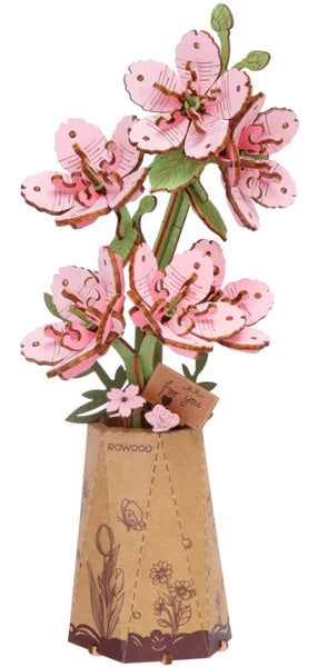 Rolife Rowood Sakura Flower Activities Robotime [SK]