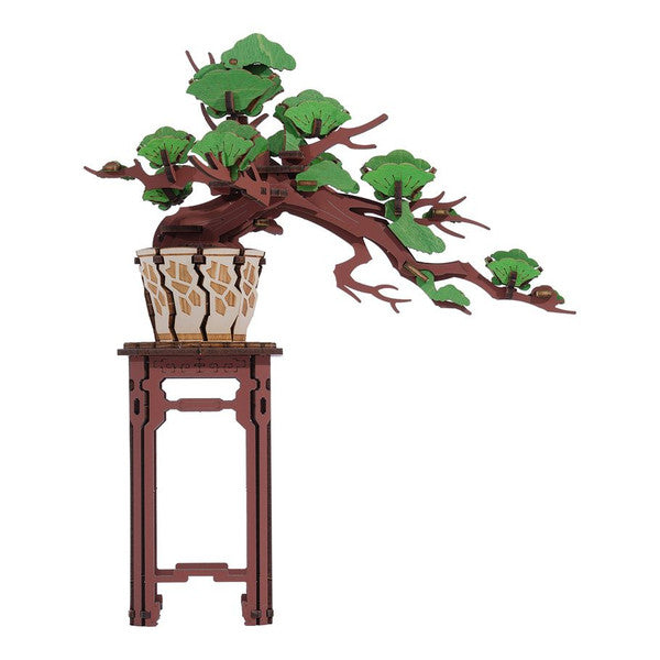 Rolife Evergreen Pine Bonsai Activities Robotime [SK]