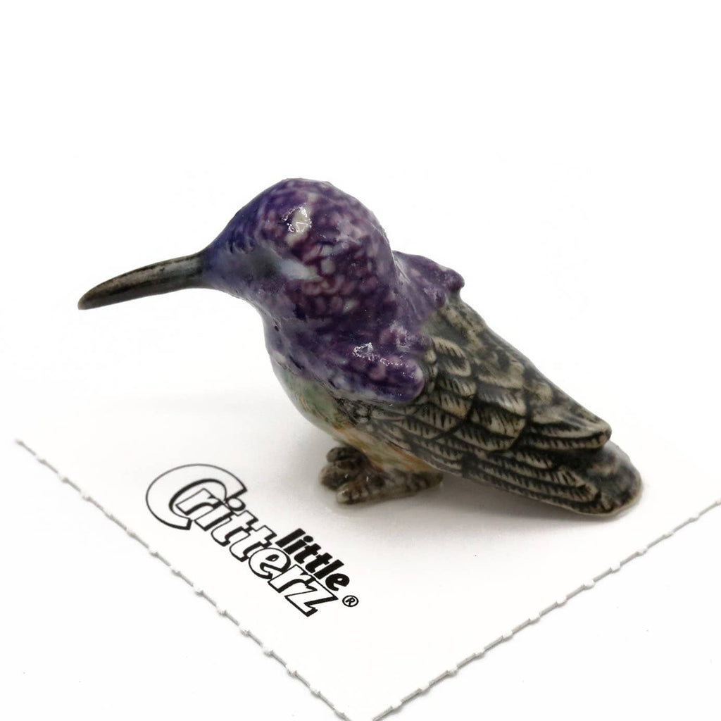Little Critterz Cheer Costa's Hummingbird Porcelain Miniature Giftware Little Critterz [SK]   