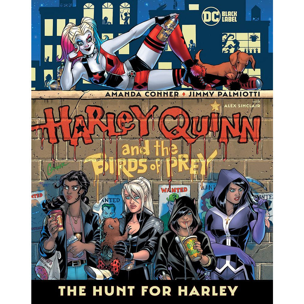 Harley Quinn & the Birds of Prey Hunt for Harley Graphic Novels DC [SK]   