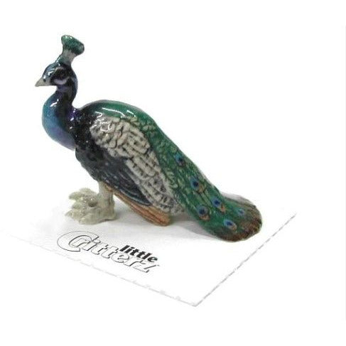 Little Critterz Shimmer Peacock Giftware Little Critterz [SK]   