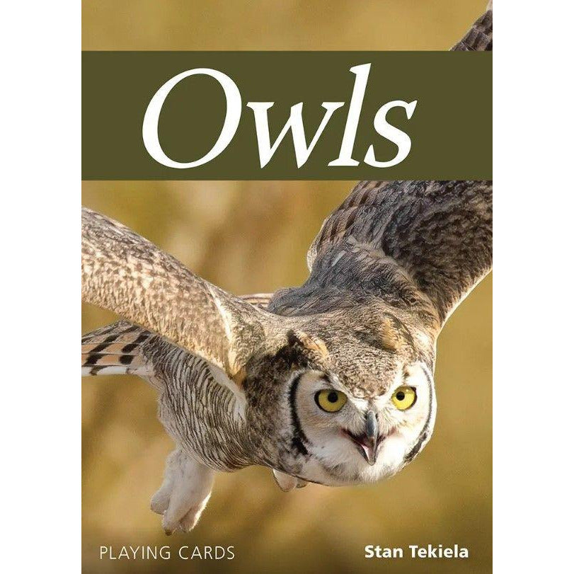 Owls Playing Cards Traditional Games AdventureKEEN [SK]   