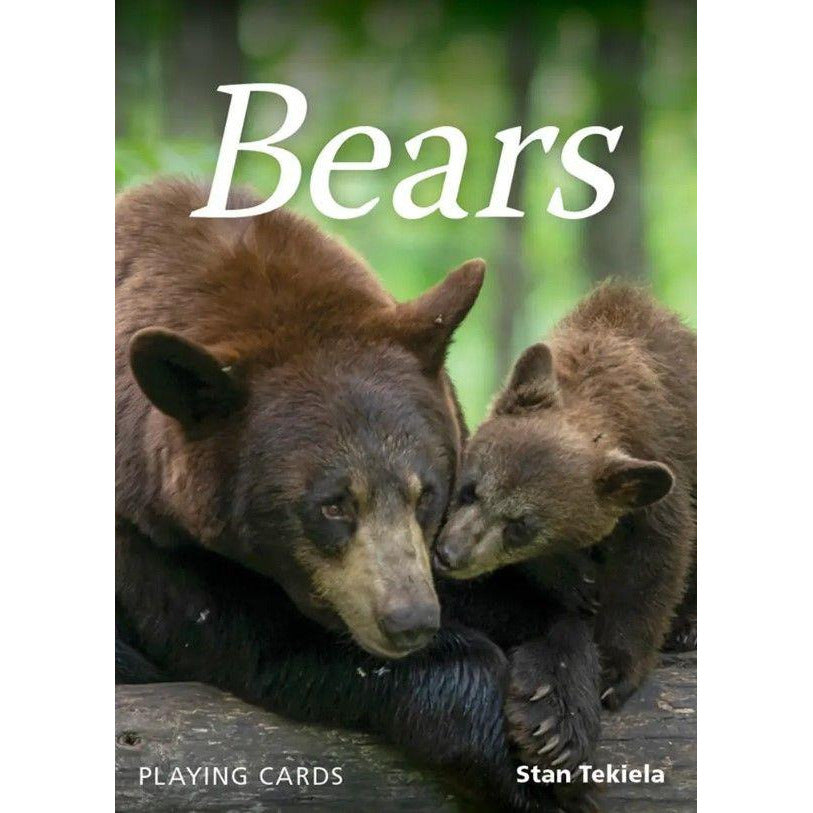 Bears Playing Cards Traditional Games AdventureKEEN [SK]   