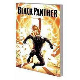 Black Panther Vol 2 A Nation Under our Feet Graphic Novels Diamond [SK]   