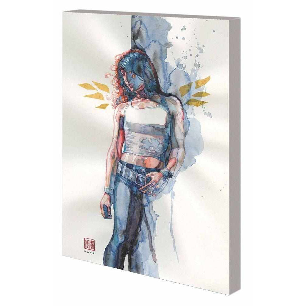 Jessica Jones Vol 2 Alias Graphic Novels Marvel [SK]   