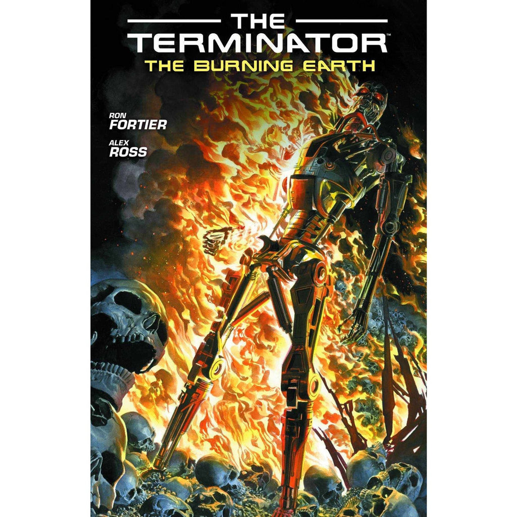 Terminator Burning Earth Graphic Novels Diamond [SK]   